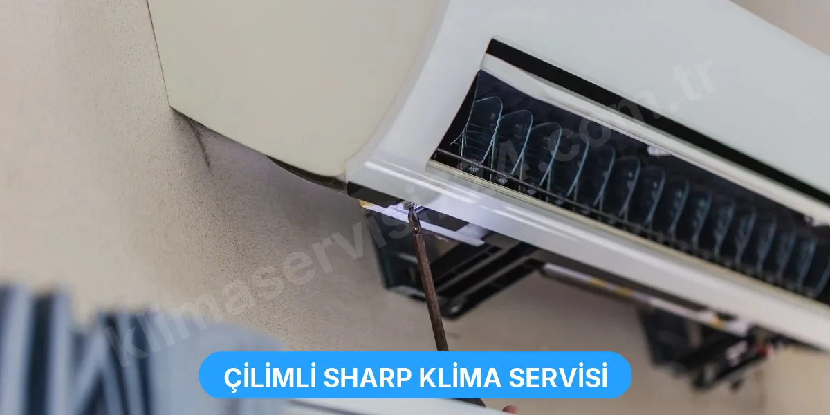 Çilimli Sharp Klima Servisi