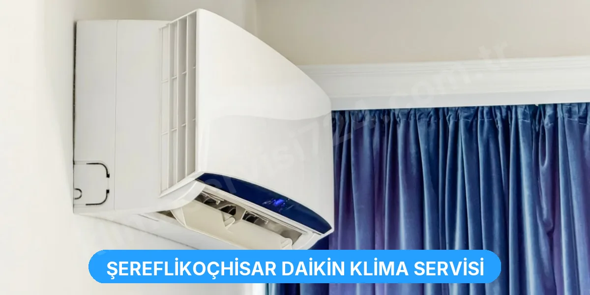 Şereflikoçhisar Daikin Klima Servisi